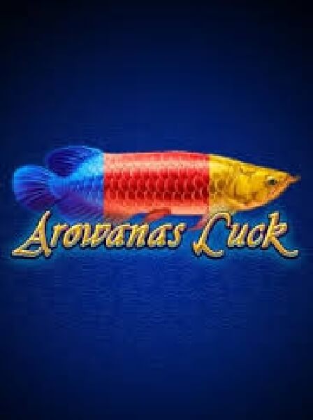 PocketAces Club: Hỗ trợ học hỏi kỹ năng chơi poker hiệu quả