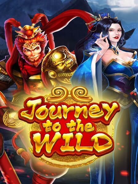 Why Choose AppBet Casino Over Other Online Casinos?