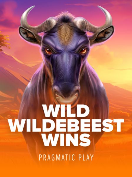 Live Dealer Experience at EliteTable Casino: What to Expect